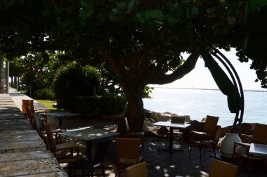 Miami South Beach, Florida 'da park