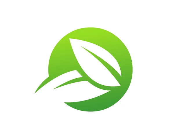 Creative Natural Leaf Symbol — Stock Vector
