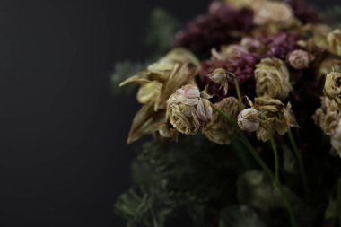 Koyu arkaplanda farklı çiçeklerin kurumuş çiçekleri.