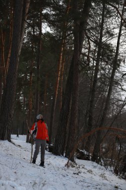 Kışın ormanda yürüyüş yapan bir adam. Gri şapkalı, turuncu ceketli ve gri sırt çantalı bir adam..
