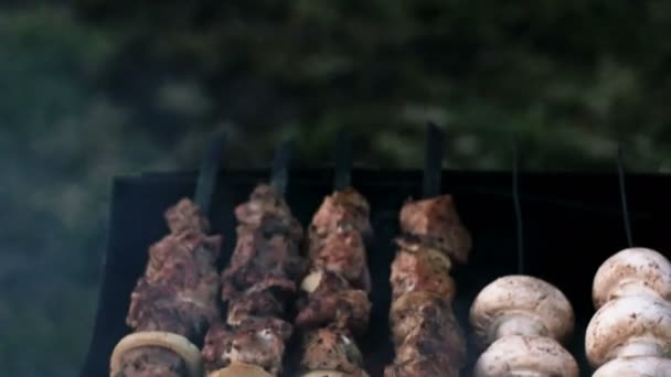 Meat and mushrooms roasted on the fire skewers — Stock Video