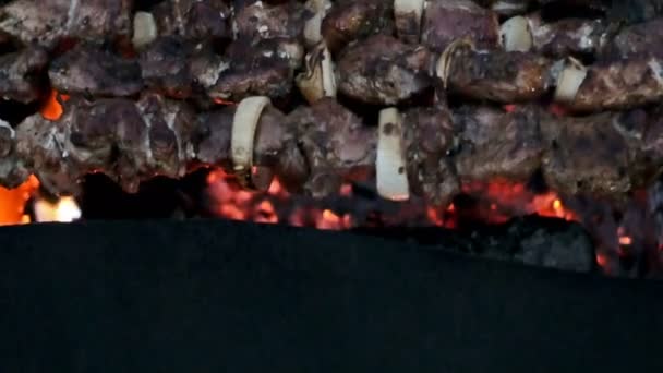 Fleisch und Pilze am Spieß gebraten — Stockvideo