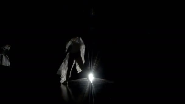 轻舞飞扬的身影的面纱的女人 — 图库视频影像