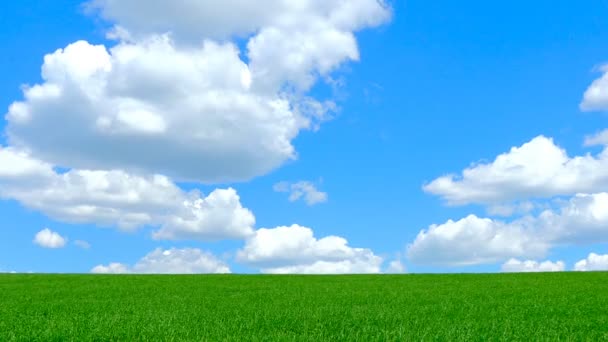 Campo verde e céu nublado — Vídeo de Stock