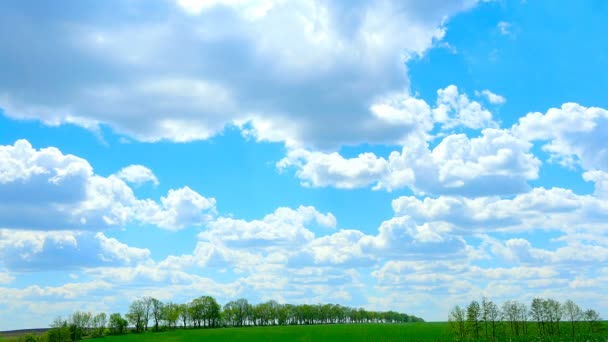 Grüne Wiese und wolkenverhangener Himmel — Stockvideo