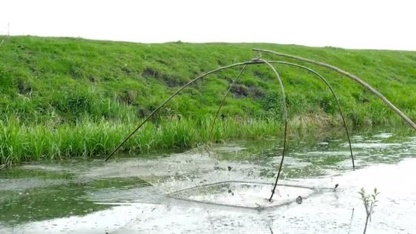 Rete da pesca e pescatore utilizzando una rete a mano per catturare i pesci fuori di esso — Video Stock