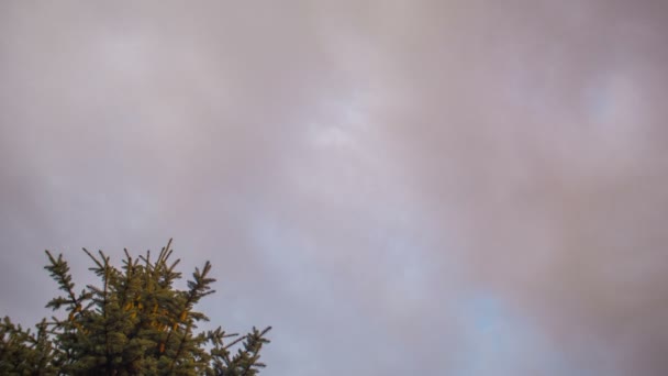 Закат летнего облачного неба — стоковое видео
