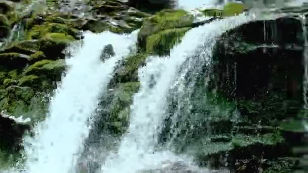 Cascade vattenfall stänk på stenar i skogen bland bergen. — Stockvideo