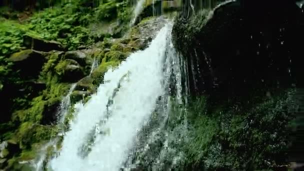 Cascade vattenfall stänk på stenar i skogen bland bergen. — Stockvideo