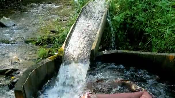 Holzwäsche am Gebirgsfluss — Stockvideo