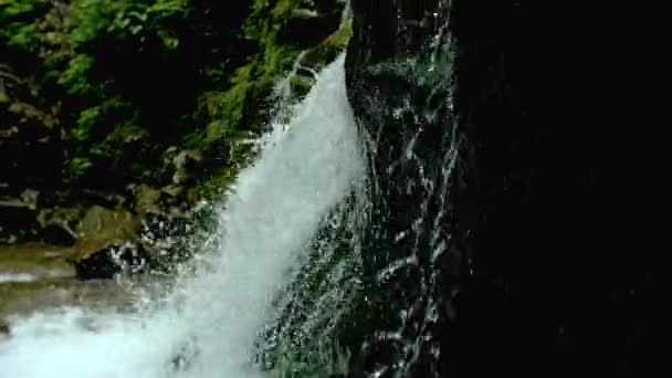 Cascade vattenfall stänk på stenar i skogen bland bergen. — Stockvideo