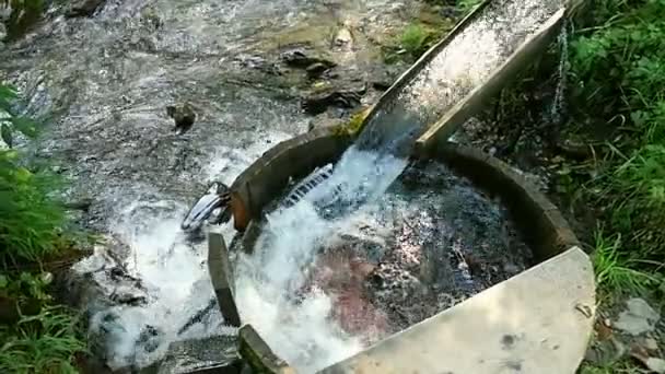 Wäscherei aus Holz am Gebirgsfluss. Zeitlupe. — Stockvideo