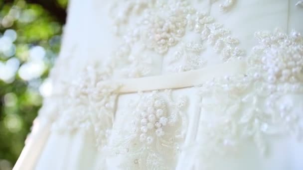Свадебное платье висит на ветке дерева — стоковое видео
