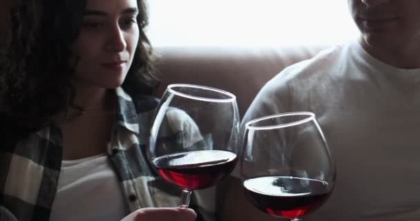 Pasangan romantis merayakan kesuksesan dengan anggur merah. Keluarga sukses minum alkohol di ruang tamu di sofa. Tampan membawa segelas anggur untuk istri — Stok Video