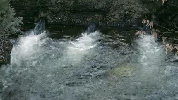 Речная плотина в парке — стоковое видео