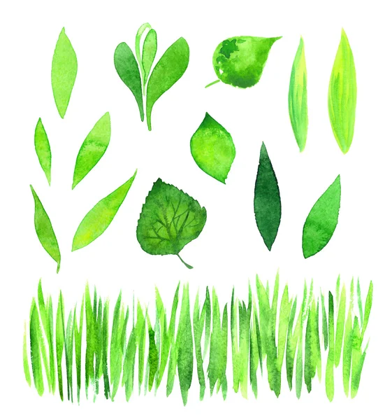 Conjunto de folhas de aquarela verde — Fotografia de Stock