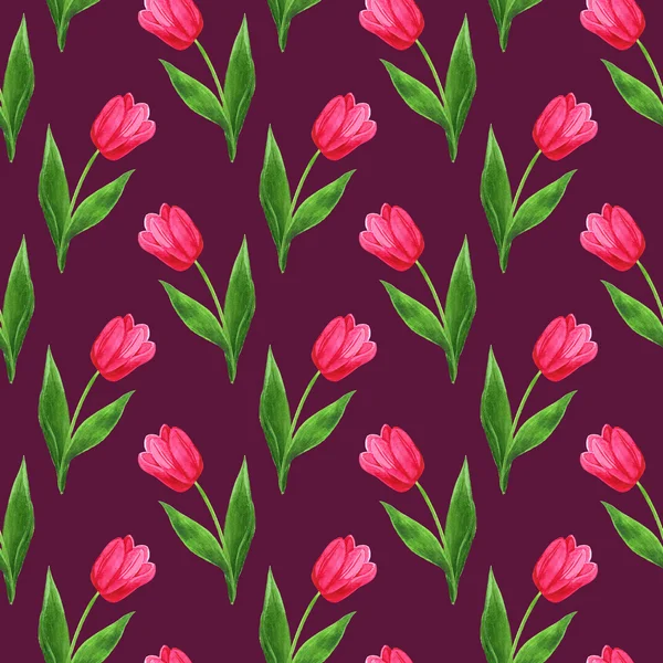 Patrón tulipanes púrpura —  Fotos de Stock