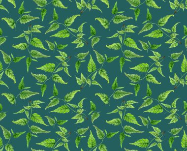 Botanik yapraklar dikişsiz desen. Suluboya el boyalı süslü dal, deniz yeşili arka plan yeşil yaprakları, çiçek deseni