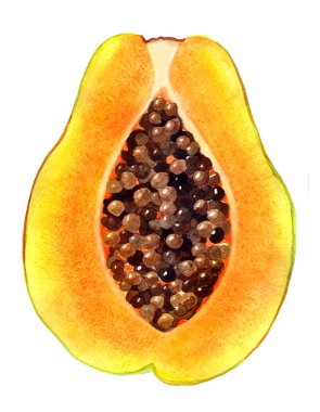 Yarıya papaya suluboya