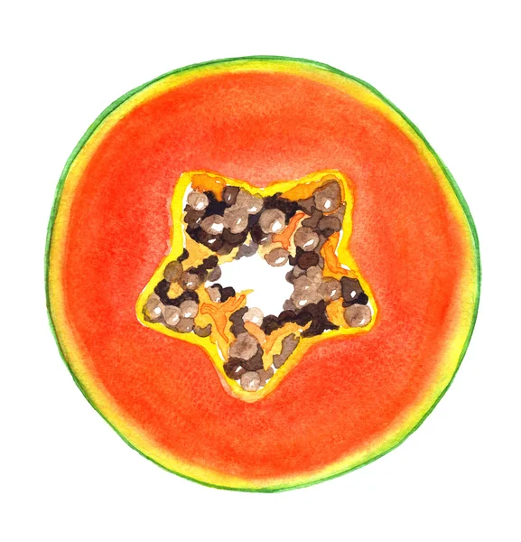 Tranche de papaye aquarelle — Photo