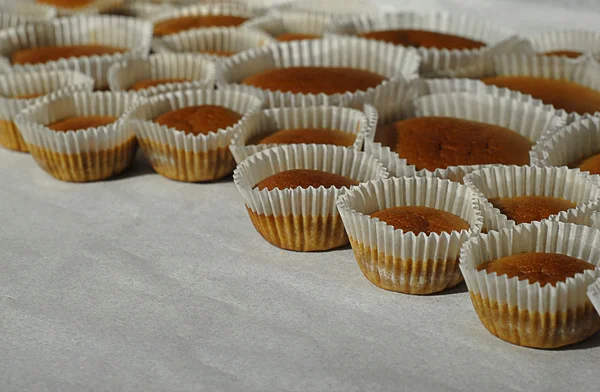 Homemade baked cupcakes on the backing paper — Stock Photo, Image