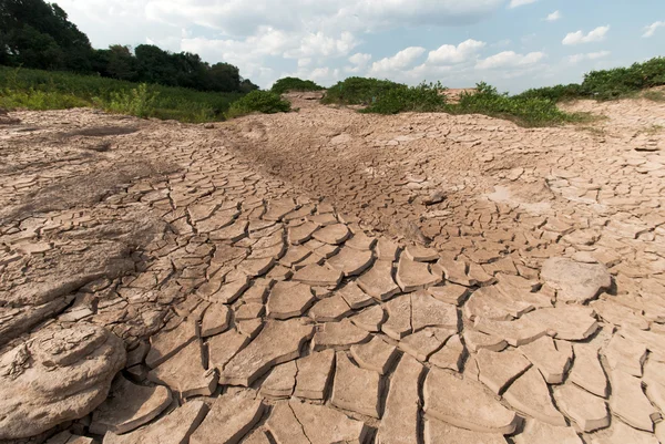 Cracked dry land without water — Stock Photo, Image