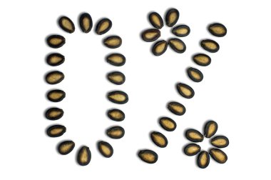 Beyaz arkaplanda karpuz tohumları