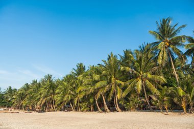 Avucunda beach, Koh Samui Adası, Tayland
