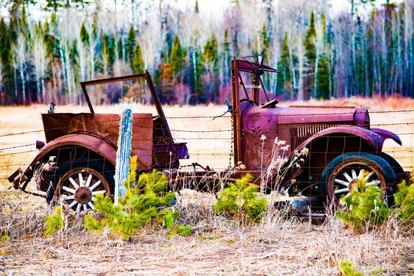 Voiture Vintage Dans Domaine — Photo