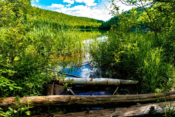 gölden Creek
