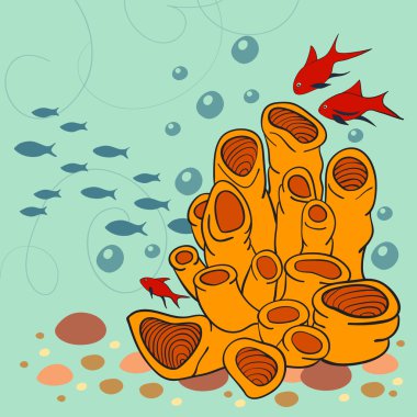 Sualtı bitki ve balık