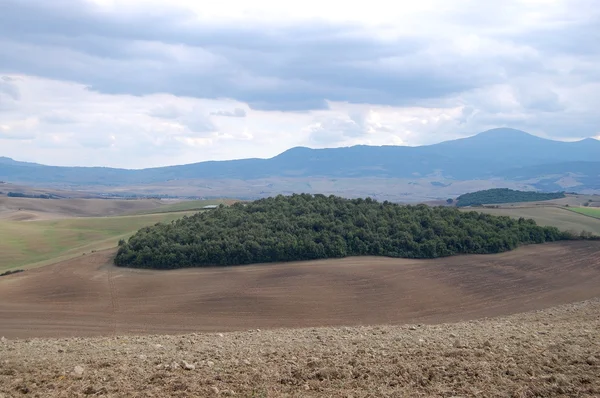 Краєвид з лісом і орною землею — стокове фото