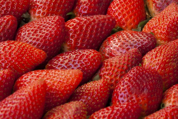 Kırmızı çilek arka plan makro yakın çekim