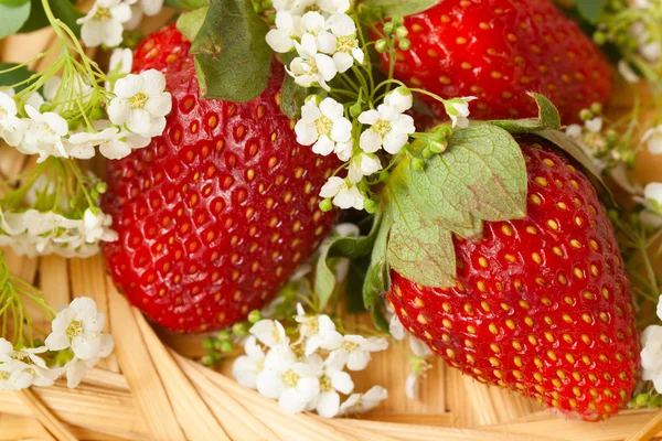 Fresa con flores en un plato de mimbre — Foto de Stock