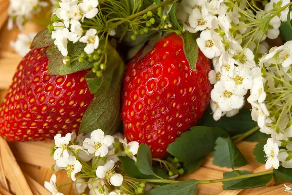 stock image Strawberry with flowers in a wicker dish