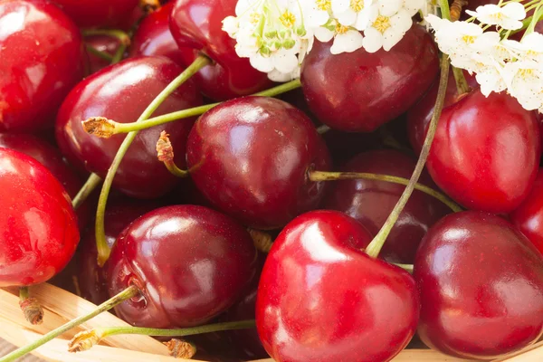 Cerezas rojas maduras primer plano — Foto de Stock