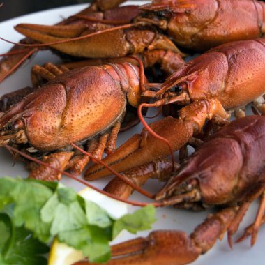 Bitkisel taze deniz ürünleri.