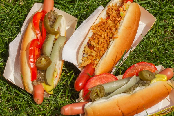 Három különböző hot dog egy piknik a fűben — Stock Fotó