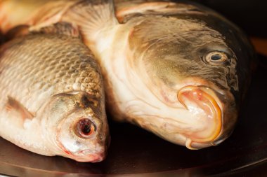 Tahtada taze balık.