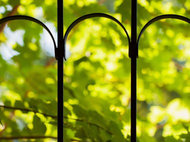 Demir ızgara yakın çekim ve yeşil bitkiler