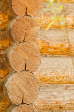 Eski ahşap duvar. Günlük Pütürlü yüzeyi.