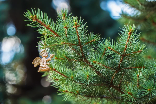 Golden angel with a bird on green spruce. Place for text. Element  Christmas design. — Stock Photo, Image