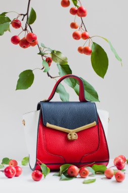 Elma dekorasyonda ışık gri arka plan üzerinde güzel parlak çanta