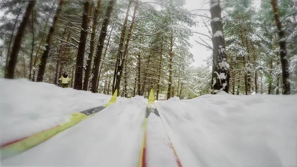 Cross country skiing on snowy winter day in forest, abstract skier on track. Concept winter healthy lifstyle. — Stock Photo, Image