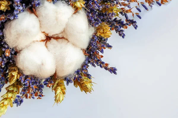 Natural background with cotton flower, ears and fragrant lavender on sky background — Stock Photo, Image