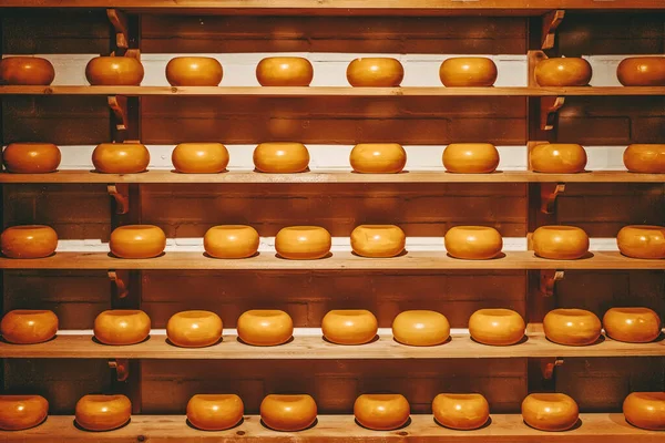 Fileiras de queijos nas prateleiras, show Arranjo em uma loja de queijo especial — Fotografia de Stock