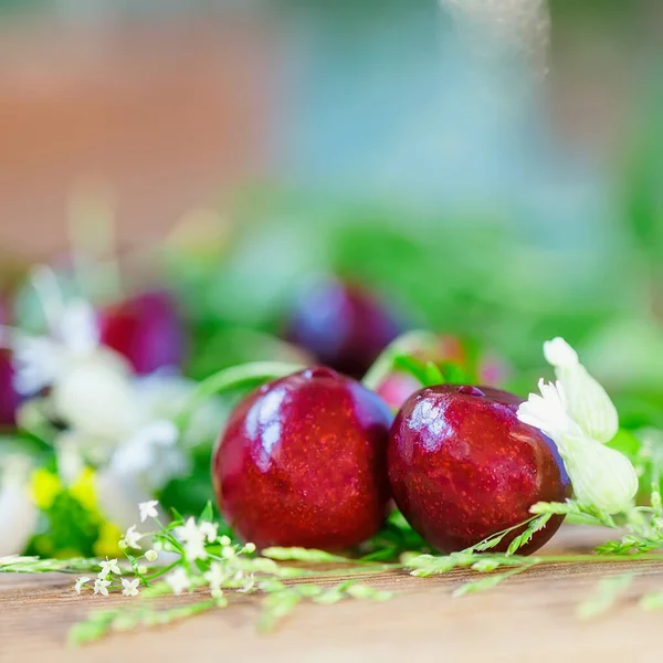 Two bright ripe cherry berries and meadow flowers closeup, selective focus, harvest, healthy diet, summer background — Stock Photo, Image