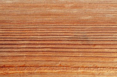 Doğal dokusu, yatay çatlakları ve çizikleri olan eski bir tahta parçası. Doğal arkaplan, kopyalama alanı