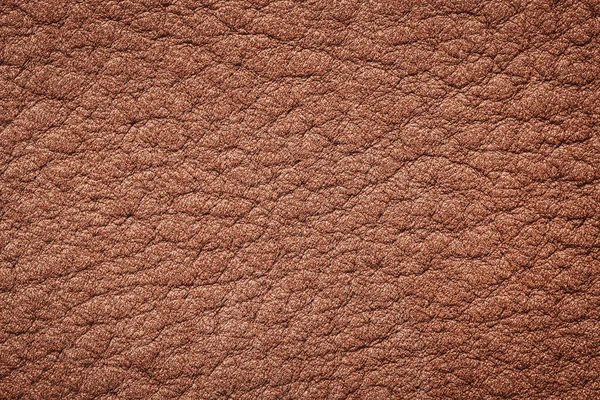 Texture en cuir véritable, couleur brun bronzé, surface mate, fond tendance. Concept de shopping, fabrication — Photo
