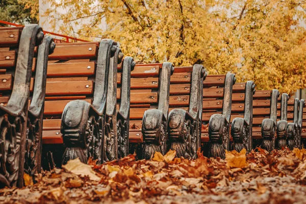 Fila de bancos de madera desplazados en caída de hoja, final de temporada, día de otoño —  Fotos de Stock